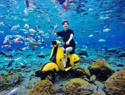 Umbul Ponggok, Wisata Bawah Air Kekinian