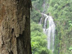 Indahnya Curug Lawe Secepit, Surga Tersembunyi di Kendal, Jawa Tengah