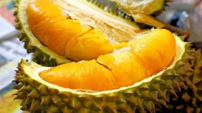 Daerah Penghasil Durian Terenak di Jawa Tengah