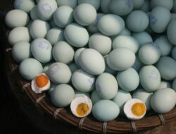 Bukan Cuma Direbus, Begini Cara Mengolah Telur Asin