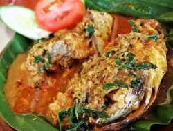 Uniknya Brekecek Pathak Jahan dari Cilacap