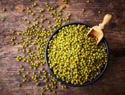 Olahan Kacang Hijau Jadi Aneka Hidangan Nikmat