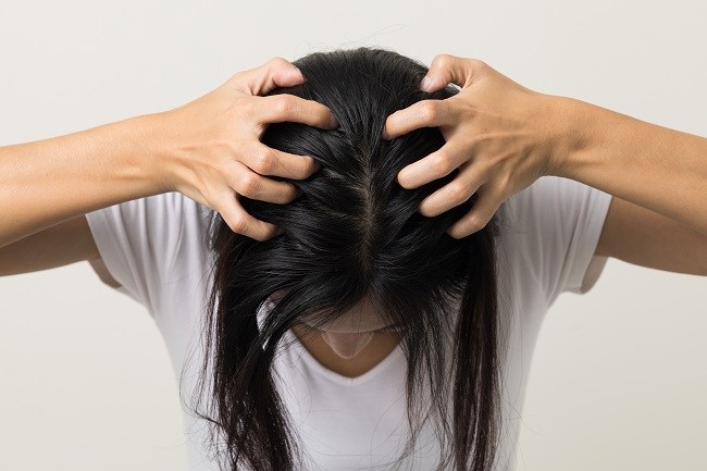 cara efektif hilangkan kutu rambut