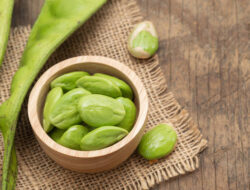 Manfaat Mengonsumsi Pete Berikut Resep Olahan Pete, Maknyus!