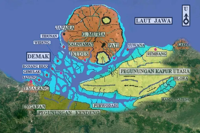 Bukti Demak dulunya lautan