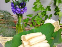 8 Variasi Olahan Tapai yang Nggak Kalah Tasty dari Camilan Modern