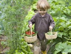 Berkebun untuk Menjaga Kesehatan Fisik dan Mental