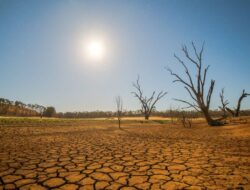 Waspada Kekeringan! Ini Tips Siaga Bencana Jelang Musim Kemarau