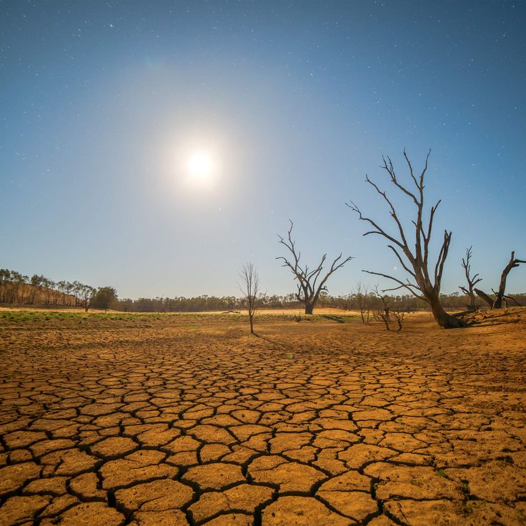 Waspada Kekeringan! Ini Tips Siaga Bencana Jelang Kemarau