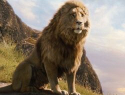 Tak hanya Anjing, Hewan-Hewan ini Juga Dikenal Setia, Loh!