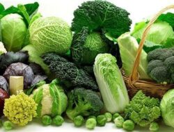 Bahaya! Simak Sayuran yang Sebaiknya Dihindari Pengidap Asam Lambung