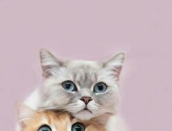 Ras Kucing Termahal di Dunia, Cat Lovers Berminat Mengoleksinya?