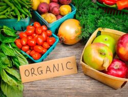 Tren Real Food : Masyarakat Semakin Memilih Makanan Organik