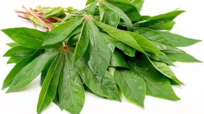 6 Resep Olahan Daun Singkong yang Sehat dan Enak