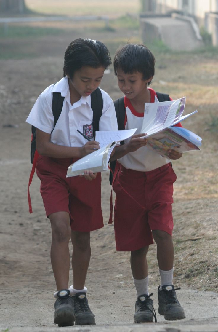 Peralatan Sekolah Lengkap yang Wajib Dimiliki Siswa