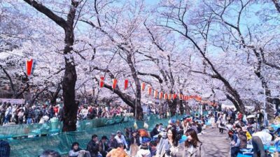 Ada Tokyo! Simak Deretan Kota Terbersih di Dunia