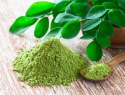 Simak 10 Manfaat Daun Kelor yang Jarang Diketahui