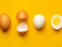 Mengupas Fakta dan Mitos Telur : Gizi, Kesehatan, dan Pengolahannya