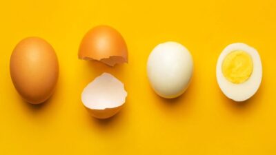 Mengupas Fakta dan Mitos Telur : Gizi, Kesehatan, dan Pengolahannya