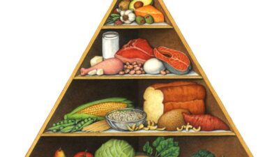Pedoman Gizi Seimbang : Menjaga Kesehatan Melalui Pola Hidup Sehat