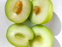 Tak Hanya Rukiah, Ini Manfaat Lain Buah Bidara