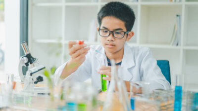 Catat! 7 Buah Ini Bagus untuk Meningkatkan IQ Anak