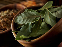 Dijamin Ampuh! 12 Aroma Pengusir Tikus di Rumah