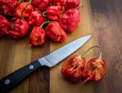 Super Hot! 8 Jenis Cabai Terpedas di Dunia, Berani Coba?