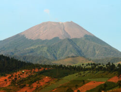 Biodiversitas Hutan Lindung Gunung Slamet