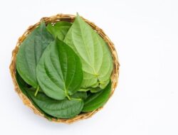 5 Tanaman Herbal untuk Menjaga Kesehatan Mata