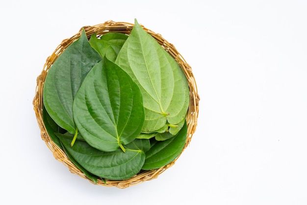 5 Tanaman Herbal untuk Menjaga Kesehatan Mata