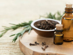 Aromanya Mendunia, Ini 3 Produk Minyak Atsiri Batang