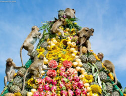 5 Festival Aneh di Dunia, Ada Berebut Tongkat Suci!