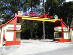 Taman Nasional Gunung Merbabu : Surga Alam di Atas Awan