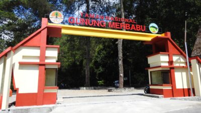 Taman Nasional Gunung Merbabu : Surga Alam di Atas Awan