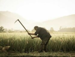 Ritme Kehidupan Petani di Lereng Pegunungan