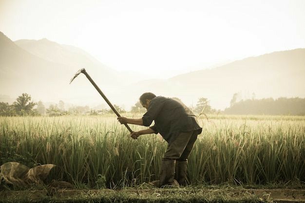 Ritme Kehidupan Petani di Lereng Pegunungan