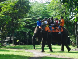 4 Rekomendasi Wisata Kebun Binatang Jawa Tengah