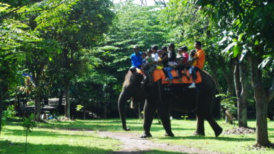 4 Rekomendasi Wisata Kebun Binatang Jawa Tengah