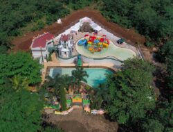 Agrowisata Kampoeng Kopi Banaran Full View Eksotis