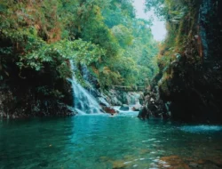 Jelajah 4 Wisata Hutan Tropis Petungkriyono