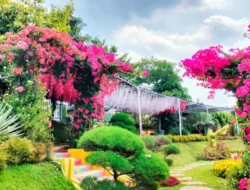 Seru-Seruan di Agrowisata Jateng Telaga Kusuma