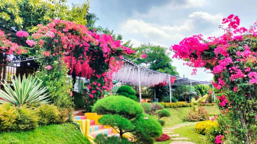 Seru-Seruan di Agrowisata Jateng Telaga Kusuma