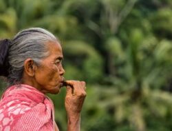 Mengenal Tradisi Nginang dalam Masyarakat Jawa