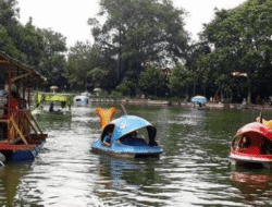 Taman Balekambang Solo, Rekomendasi Family Time