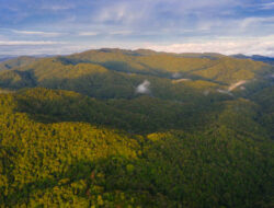 Menelusuri Asal-Usul Semarang Ibu Kota Provinsi Jateng