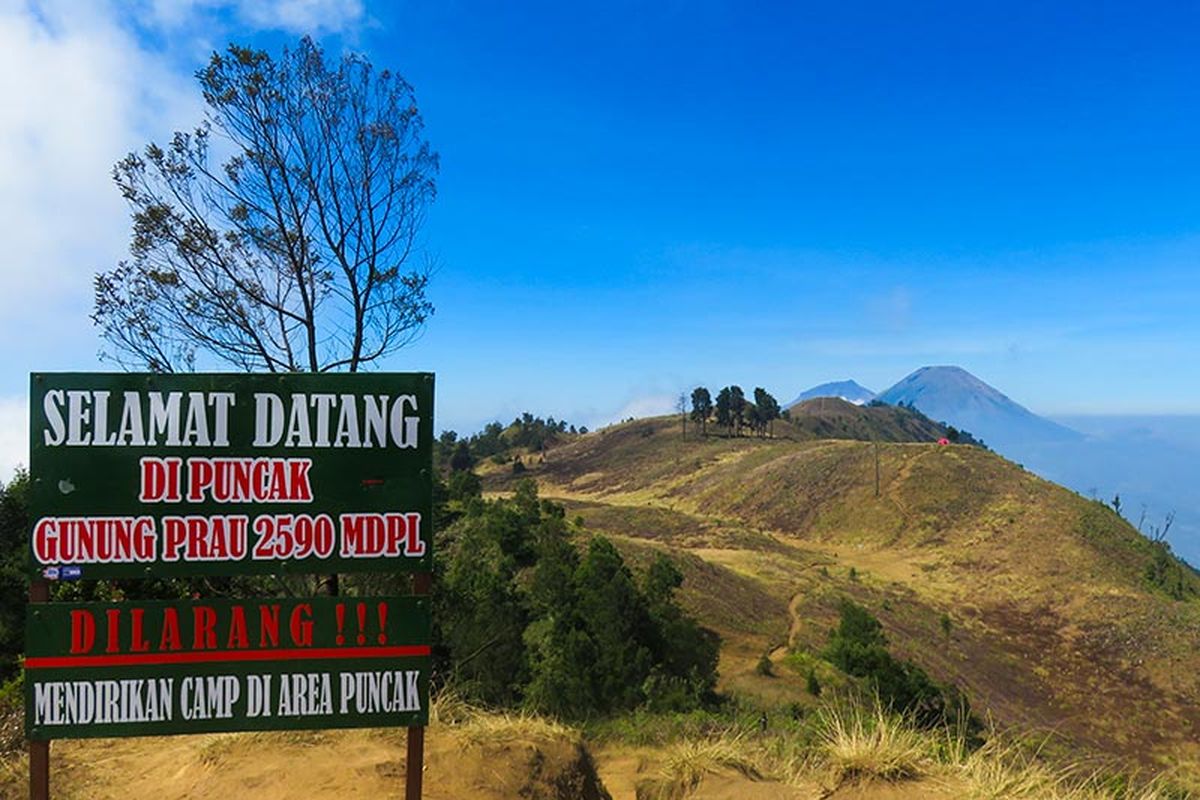 Panorama Jajaran Gunung di Gunung Prau, So Stunning!