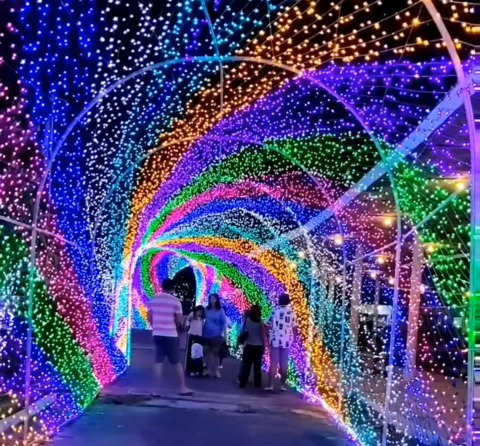 lights wonderland