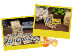 Tolak Angin: Jamu Herbal Modern yang Jadi Unggulan