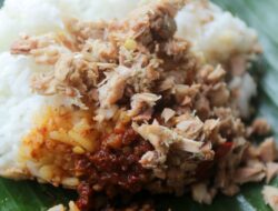 Nasi Megono: 2 Rasa 2 Cerita dari Pekalongan dan Wonosobo